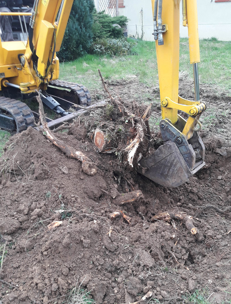 Extraction de souche d'arbre à Les Milles (13290) dans les Bouches du Rhône (13)